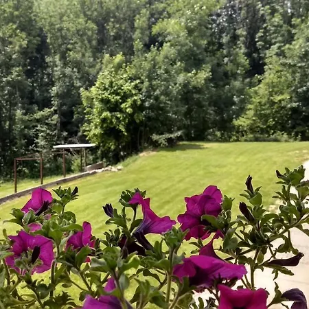 La Casa Nel Bosco Apartment *