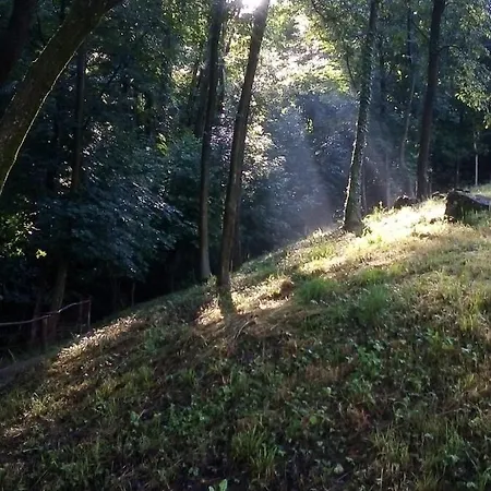 Daire La Casa Nel Bosco