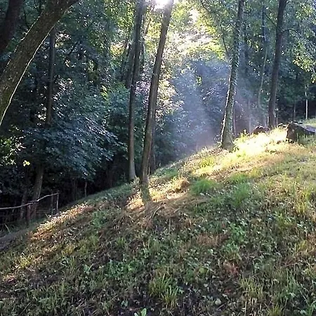La Casa Nel Bosco 아파트