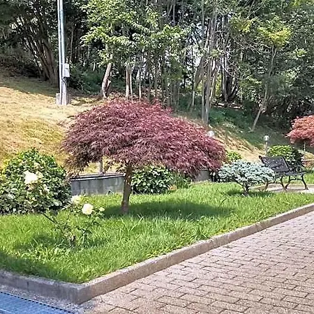 La Casa Nel Bosco *