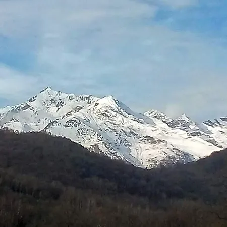 La Casa Nel Bosco