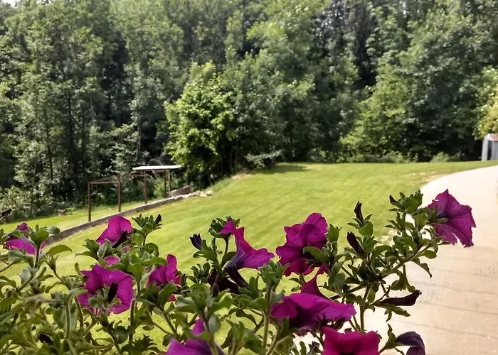 La Casa Nel Bosco Apartamento *