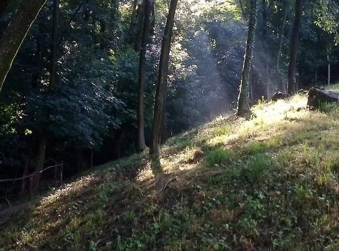Lägenhet La Casa Nel Bosco